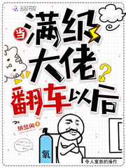 当满级大佬翻车以后封面